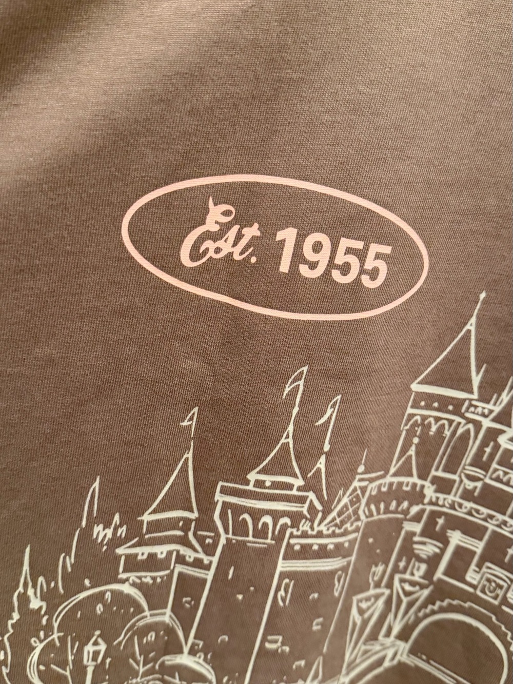 Disneyland Oversized where dreams come true graphic t-shirt NWT XL new to park - Picture 3 of 8